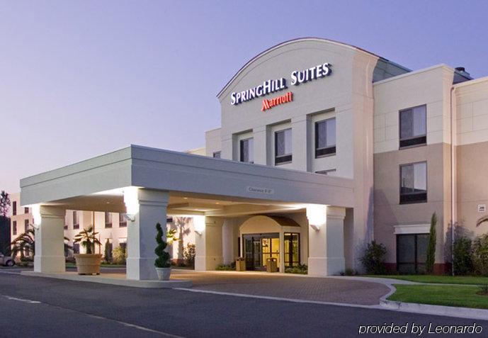 Springhill Suites By Marriott Корпъс Кристи Екстериор снимка